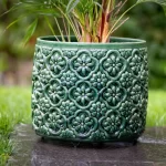 ghiveci ceramica flori plante verde ghivece