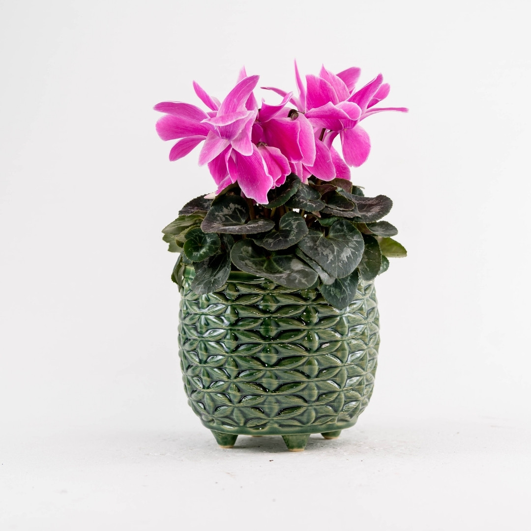 ghiveci flori ceramica verde ghivece vase ceramice
