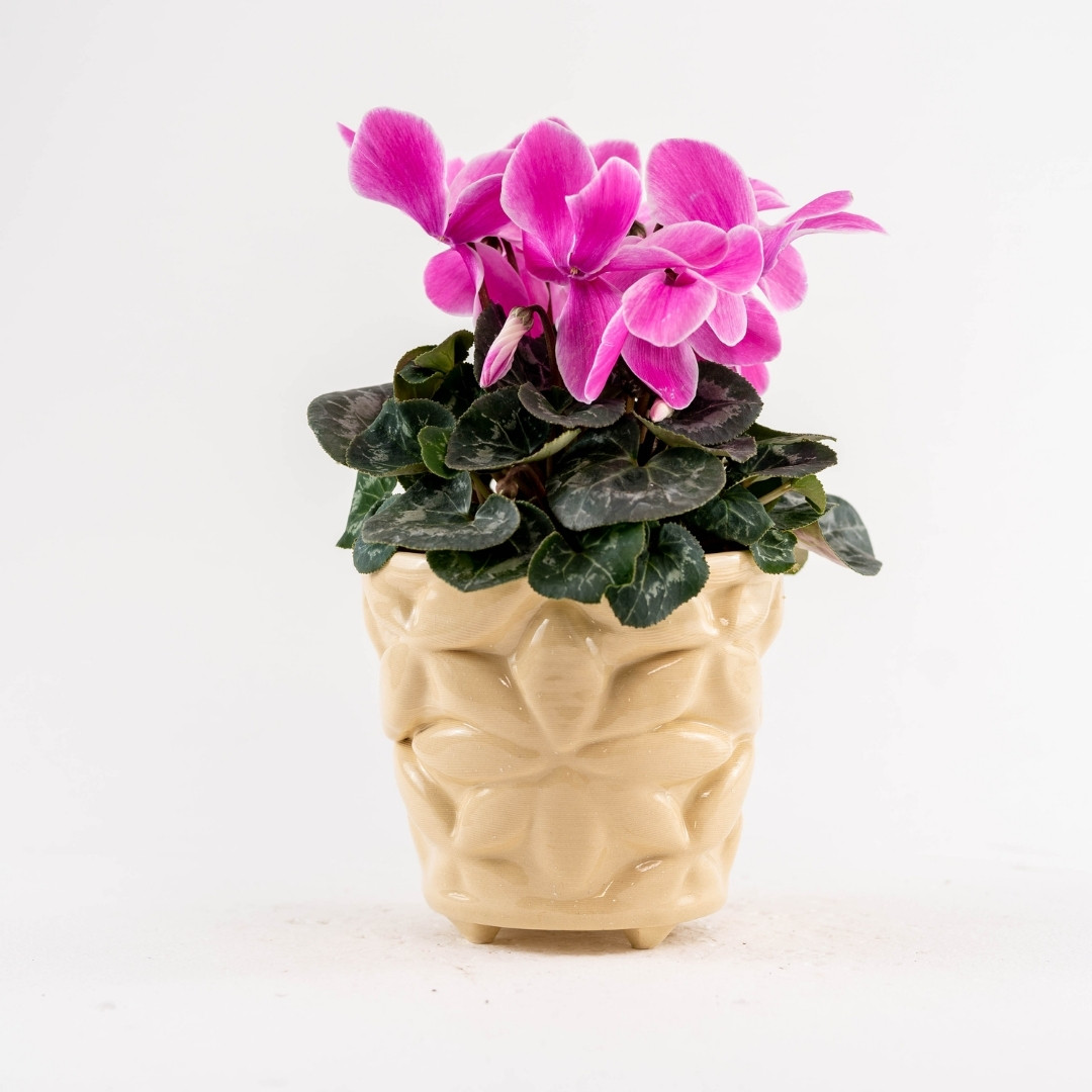 ghiveci flori ceramica ocru ghivece vase ceramice