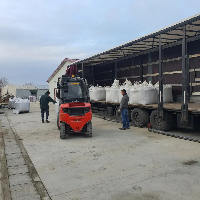 manevrare logistica